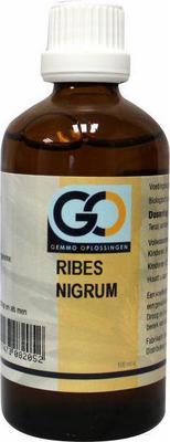 GO Ribes nigrum bio