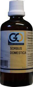 GO Sorbus domestica bio