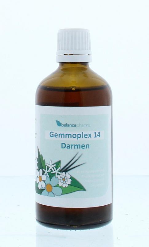 HGP014 Gemmoplex darmen