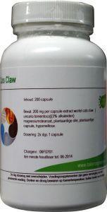 Balancepharma Gemmo simplex 14 fagus sylvatica