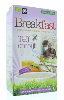 Joannusmolen Teff pap bio