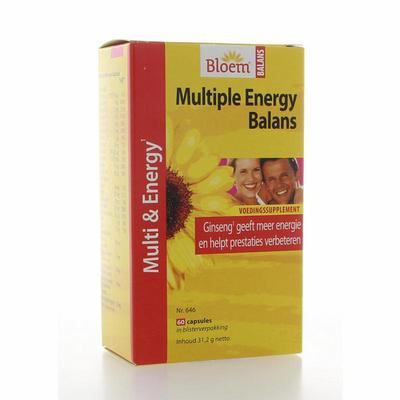 Bloem Multiple energy balans