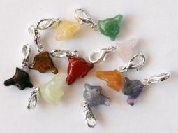 edel bedel dolfijn 10st