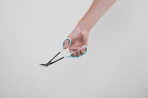 Teennagelschaar op lange steel