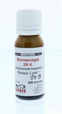 DNH Bormenvegat ZK-V