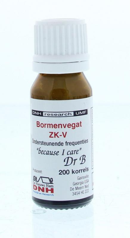 Bormenvegat ZK-V