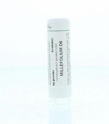 Homeoden Heel Millefolium D6