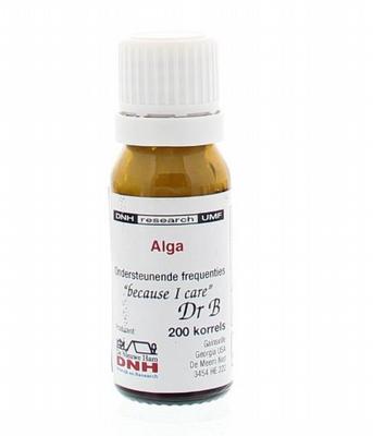 DNH Lepta multiplant