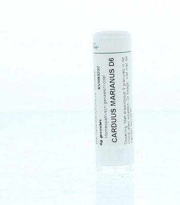 Homeoden Heel Carduus marianus D6