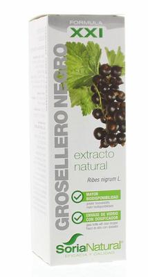 SORIA Ribes nigrum extract XXI