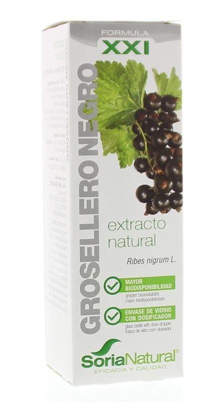 Ribes nigrum extract XXI