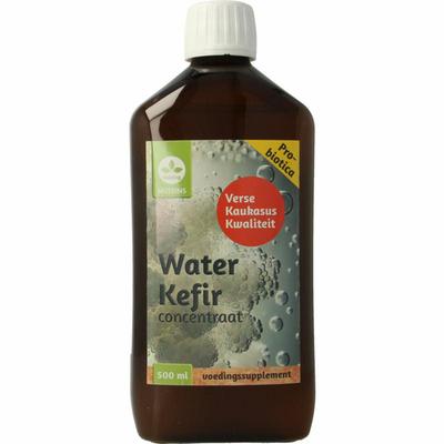 NUTRINS water kefir levend ferment 500ml