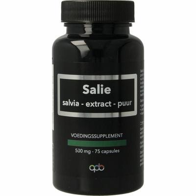 Apb Holland Salie extract puur 500mg