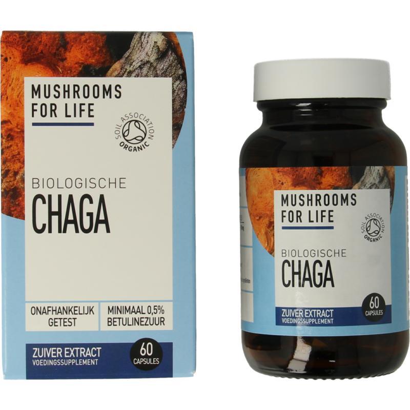 Chaga bio