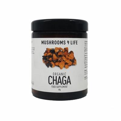Mushrooms F Life Chaga poeder bio