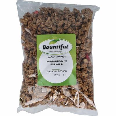 Bountiful Ambachtelijke granola krunchy bessen