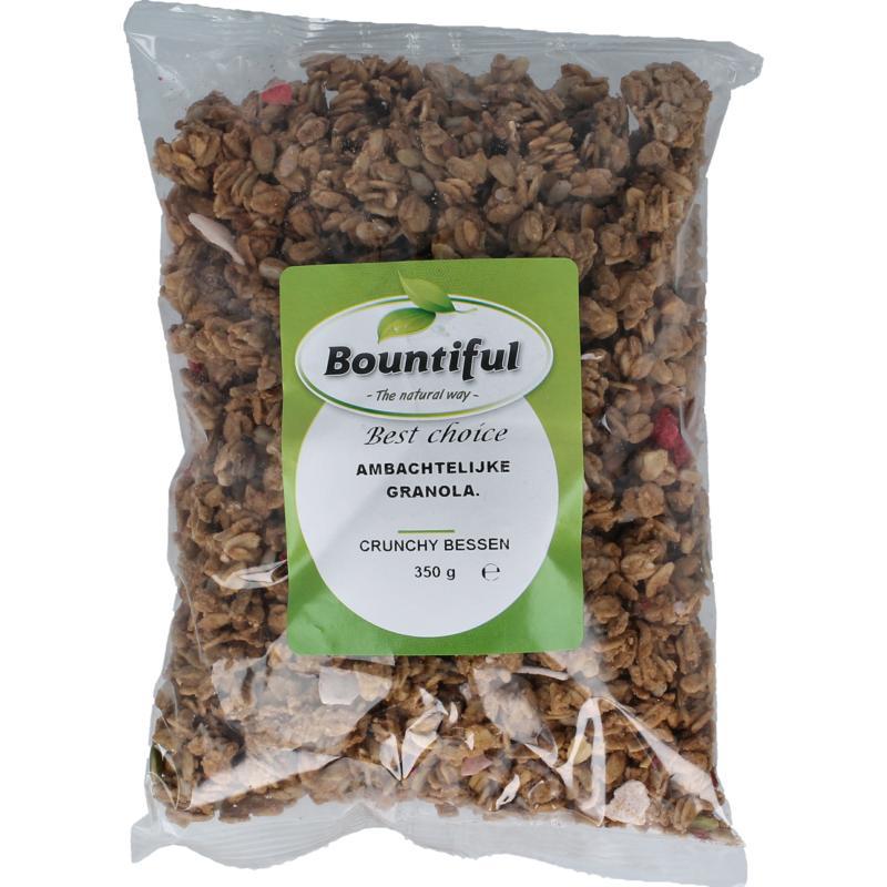 Ambachtelijke granola krunchy bessen