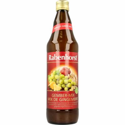 Rabenhorst Ginger mix bio