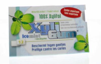 Xyligum Kauwgom icemint