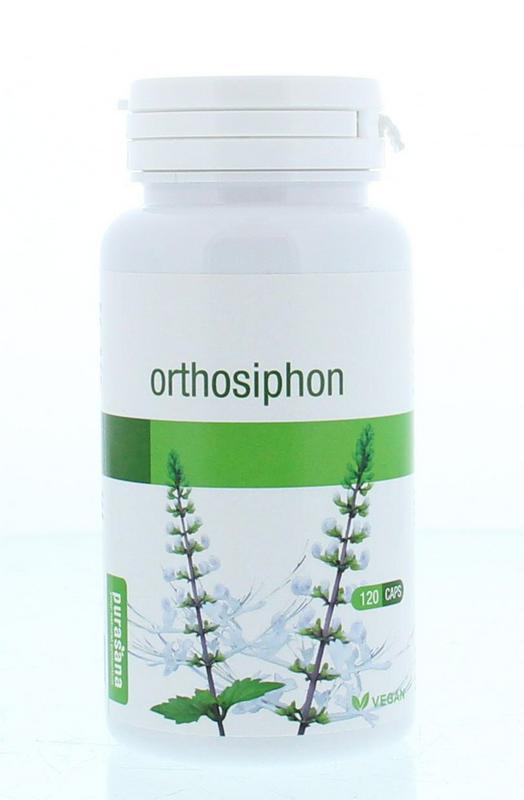 Orthosiphon vegan bio