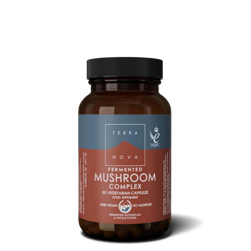 Fermented mushroom complex