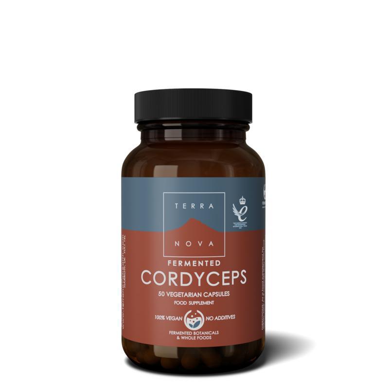 Fermented cordyceps