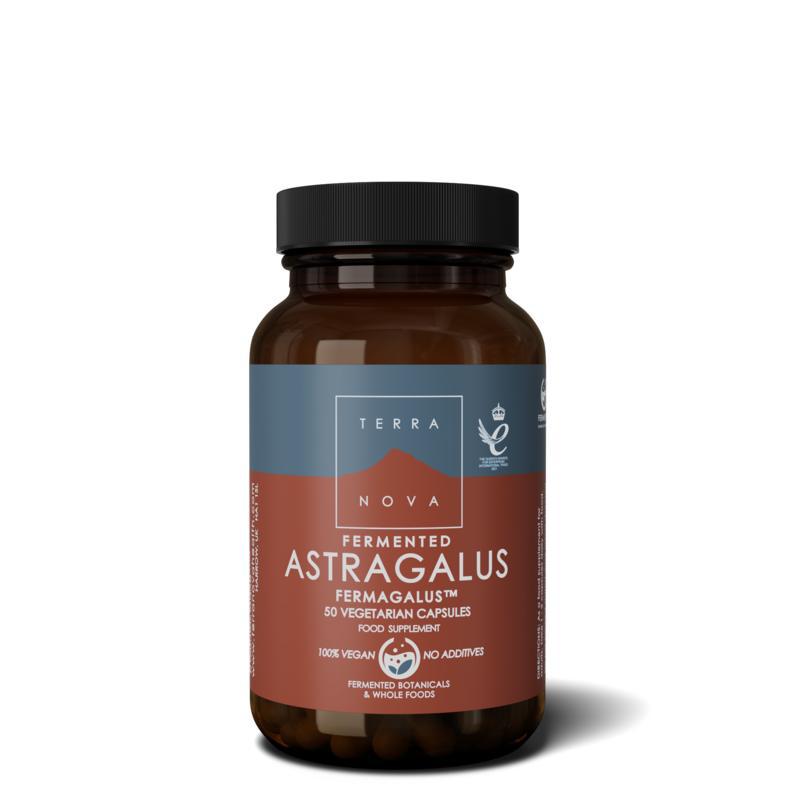 Fermented astragalus fermagalus