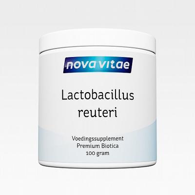 Nova Vitae Lactobacillus reuteri