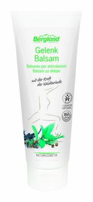 Bergland Gewrichtbalsem