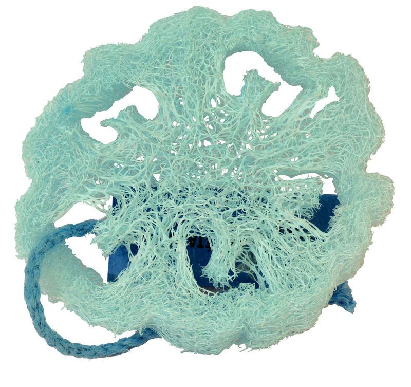 Loofah natuurspons plak