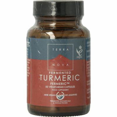 Terranova Fermented turmeric 350mg