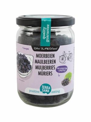 Terrasana Moerbei bessen zwart bio