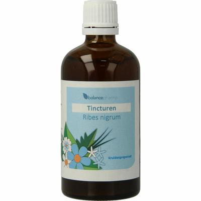 Balancepharma Ribes nigrum tincturen