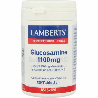 Lamberts Glucosamine 1100/L8515-120