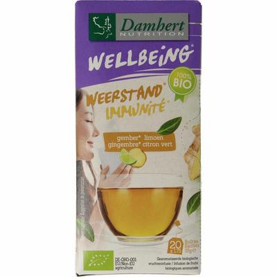 Damhert Tea time gember limoenthee bio