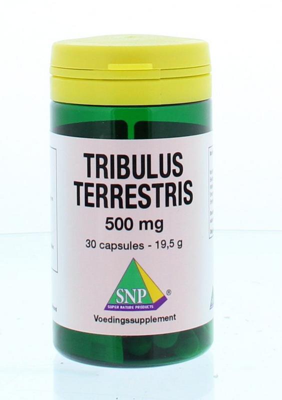 Tribulus terrestris 500mg