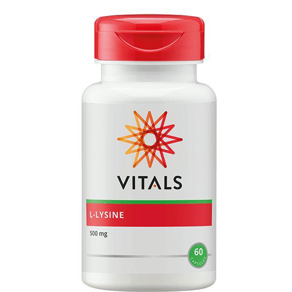 Vitals L-lysine 500 mg