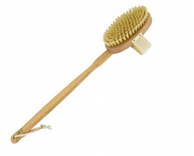 Forsters badborstel afneemba steel bhsb 1st