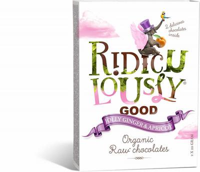 RIDICULOUSLY GOOD raw bonbon gember-abrikoos 40g