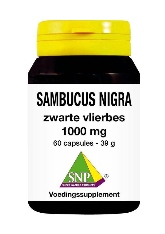 Sambucus nigra zwarte vlierbes