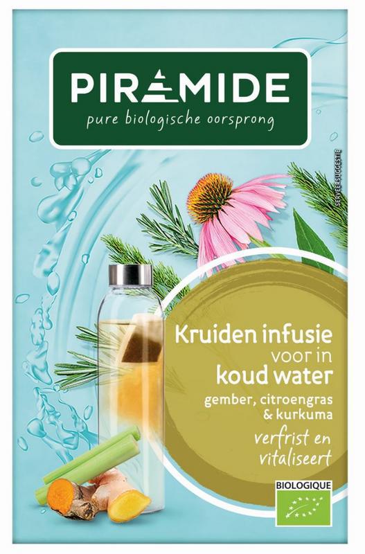 Infusie voor koude thee gember bio