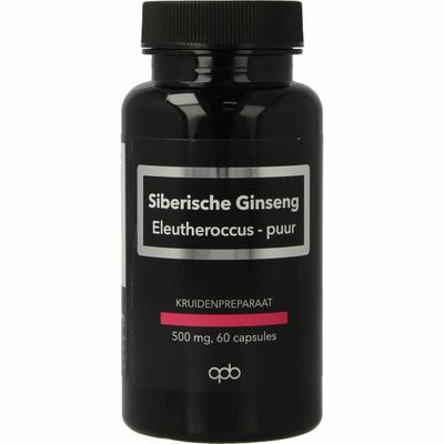 Apb Holland Siberische ginseng extract puur 500mg