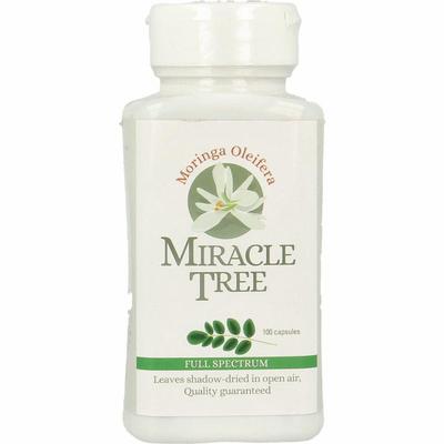 Miracle Tree Moringa oleifera