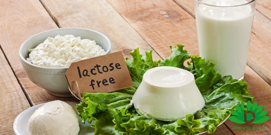 Wat kan ik eten bij lactose-intolerantie Wat kan ik eten bij lactose-intolerantie