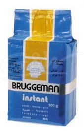 Bruggeman Instant gist
