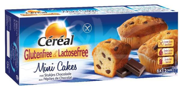 Cake mini choco glutenvrij