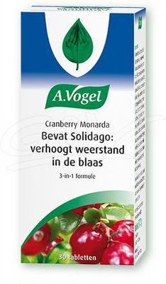 A Vogel Cranberry monarda