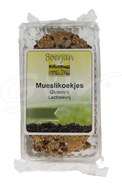 Mueslikoek gluten- en lactosevrij 100 gr