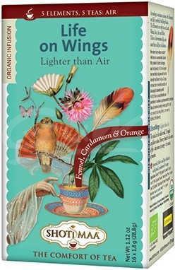 Shoti Maa Air life on wings bio