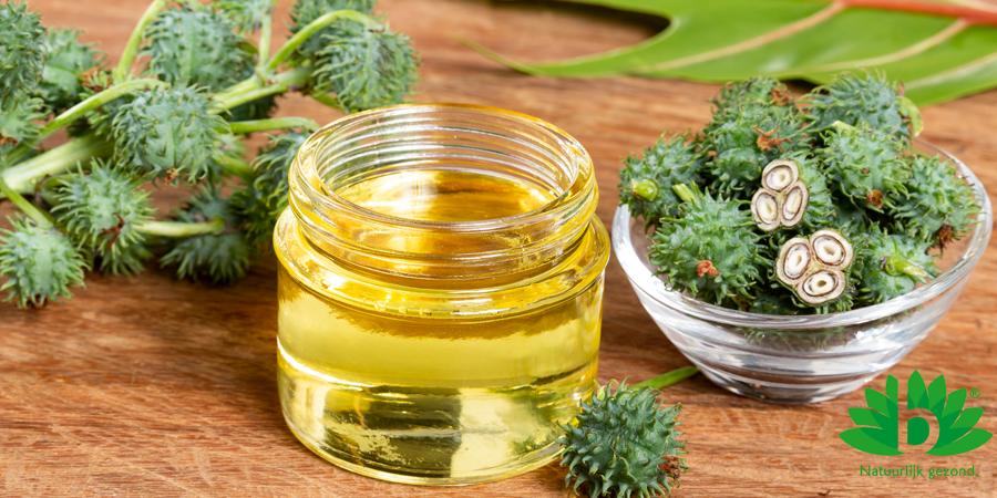 Voordelen van Castorolie voor Haarverzorging Voordelen van Castorolie voor Haarverzorging